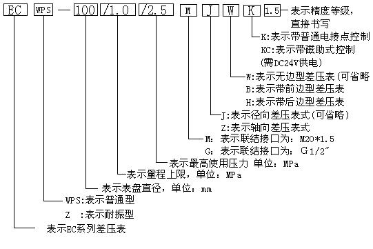 EC系列耐振型差壓表